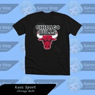 Chicago Bulls NBA T-shirt Chicago Bulls Basketball shirt/ DTF Screen Printed Distro T-shirt/