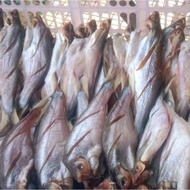 ikan Juara Perap Kering Salai Sedap cukup rasa sedap ikan salai ikan kering ikan sedap