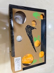 Nike off white dunk low