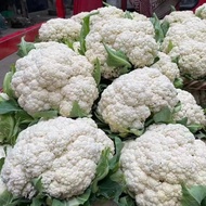 Cauliflower seeds for planting 100seeds /Ramgo Cauliflower Purity Seeds/Vegetable plants