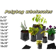 【READY STOCK】[1 KG] Black UV Polibag Hitam Nursery Plastik Benih Seed Polybag Polybeg plant grow 种植袋 家园种菜 黑袋