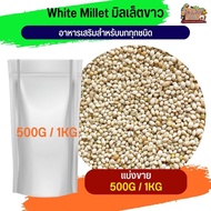 White millet มิลเล็ตขาว(แบ่งขาย 500G / 1KG)