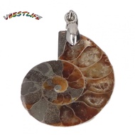 VBESTLIFE Zerodis Vintage Ammonite Shell Pendant  Handcrafted Nature for Women Men with Flat Spiral 