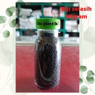 Basil seeds / basil seeds 50 grams