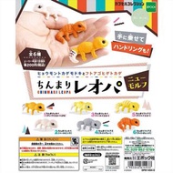 指上蜥 蜥蝪守宮 蜥蝪 壁虎 爬蟲類 爬蟲動物 守宮 青蛙 箭毒蛙  動物扭蛋 扭蛋 日本扭蛋 日本代購 景品 玩具 公仔 擺設 figure 周邊 盒玩 盒蛋 食玩  