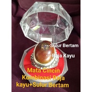 Cincin Raja Kayu + Sulur Bertam