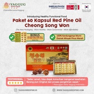 Sale Terbatas Red Pine Oil Korea Cheong Song Won Korea (60 Caps, 100%