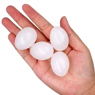 Fake Egg 4pcs Fake Pigeon Eggs