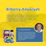 Bilbery bilberry kapsul adawiyah 99 original solusi mata