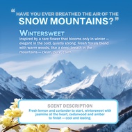 VANZO Smart Car Diffuser Refill Pack