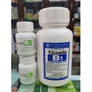 Vitamin B1 - Supplement vitamin B1 for the body