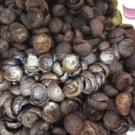 COCO CRUNCH 250gram CHOCO CHIPS/ CHOCOLATE CEREAL/ CIKO / Cemilan Snack/