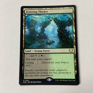 EOE FESTER THICKET GLITTERING MASSIF RADIANT SUMMIT VERNAL FEN | EDGE OF ETERNITIES