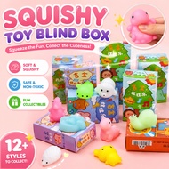 Blind Box Squishy Toy Animal Shape Fun Mystery Box Dumpling Pinch Ball Compressible Elastic
