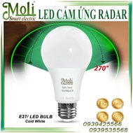 MoLi radar (microwave) sensor light