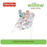 Baby Bouncer - Fisher Price Bouncer