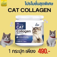 [แบ่งขาย]ส่งฟรี! จากไทย100%ผงโรยอาหารน้องแมว ช่วยสร้างเสริม เพิ่มภูมิคุ้มคุ้มกัน บำรุงขนตัวแน่น #Lisa #Collagen #Cat มีส่วนผสมผงไข่เต่า เพียงเทผงโรยอาหารแมวผสมกับอาหาร วันละ 1 มื้อ ลูกค้ากลับมารีวิลเพียบ ผลิตใหม่ทุกเดือน