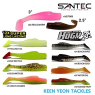 SANTEC HOGY SOFT ATTACH MINNOW (2.5" & 3")
