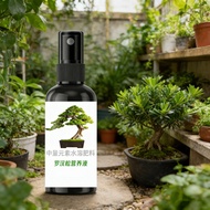Tool Arhat Pine Fertilizer Special Nutrient Solution Taishan Pine Osaka Pine Modeling Pine Bonsai Ca