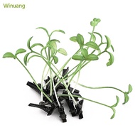 Winu Bean Sprout Bangs Clip Plastic Hair Clip Trendy Hair Barrettes Makeup Hair Tool Barrettes Funny