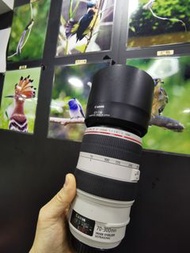 canon 70 -300mm F4-5.6L IS USM EF 70-300