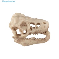 SEPTEMBER Dinosaur Skull, Resin Simulation Fish House Cave, Creative Crocodile Skull Decorative Esca