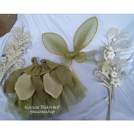 Tinkerbell costume set + wings, newborn baby photoshoot costume