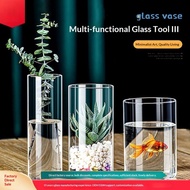 Simple Glass Vase Green Dill Hydroponic Ecological Vase Straight Vase Micro Landscape Ornaments Glas