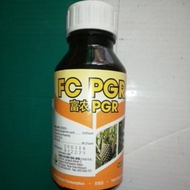 FC_PGR_500ml_bunga_nenas