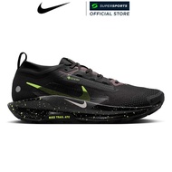 NIKE Pegasus Trail 5 GORE-TEX Men's Running Shoes