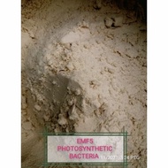 [500g] EMF5 Photosynthetic Bacteria/PSB/EM Powder/BioFloc/Jernihkan Air Aquarium/Mineral/
