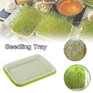 HUGHES Encryption Harmless Nursery Pots Green Wheatgrass Soilless Planting Gardening Tools Seedling Tray Soilless cultivation Hydroponic Vegetable