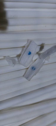 Busa gabus filter mild klik bubblegum 1kg