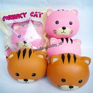 Squishy Tiger Animal Bun - Squishy Slow Tiger Bear Animal