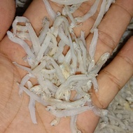 Medan Anchovies, Tauge Rice, 500g Contents