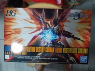 高達模型 萬代 HG destiny gundam (heine custom) 橙命運高達 (海涅專用機體) 模型