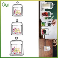 [Wishshopeelxl] Clear Cloche Gifts with Top Handle Decoration Tabletop Ornament for