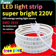 Led Lights 220v Led Strip Light for Ceiling Indoor&amp;Outdoor Waterproof SMD 2835 Heavy Duty Cove Ceiling Light Power Plug