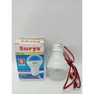 5 watt 12 volt solar DC/ bulb