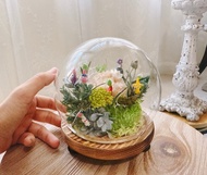 Pikmin 皮克敏 一起來打水晶菇。白水晶簇原礦 永生葉材