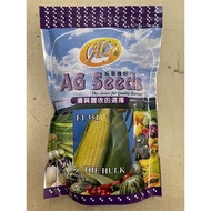 AG SEED 351 BENIH JAGUNG F1