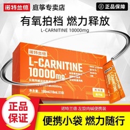 Norland L-Carnitine L-Carnitine L-10w Sports Aerobic Fitness Sweat Portable Pack L-10,000 9.5