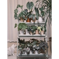 Balcony Mobile Solid Wood Succulent Display Rack Storage Rack Floor-standing Flower Stand Plant Gree