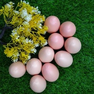 1 Pack of Easter Eggs contains 10 eggs