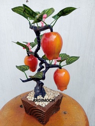 Bonsai buah/ Hiasan Meja tinggi 25 cm