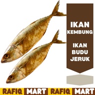 IKAN KEMBUNG  IKAN BUDU JERUK ( BORONG )
