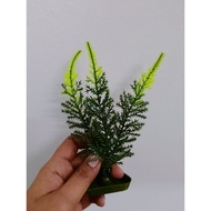 Plastic Plant ☘️ Ornament, Pokok Plastik Hiasan Akuarium. Aquarium Decorations S-size