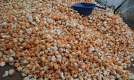 siomay mini kering isi 2 kilo