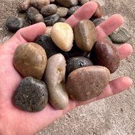 90s Greenovation Planting Material 1 Packet (Guni) Pebble Stone 鹅卵石 石头(10KG/18KG/20KG/25KG)