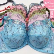 MIT Thin Plus Size Underwear [E/F/G 34~48] 3328 Large Cup Lace Embroidered Bra Also Have Panties Dai